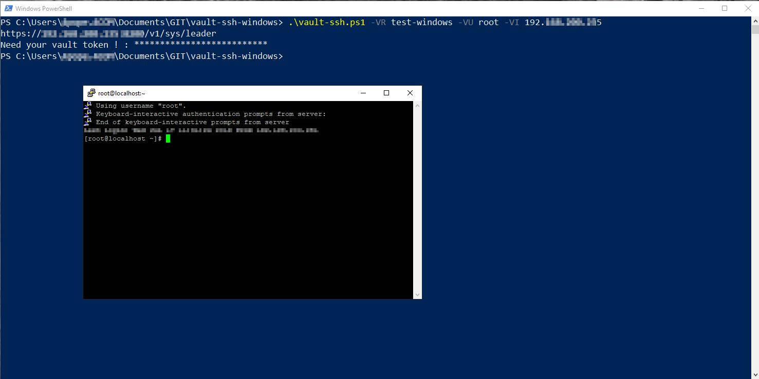 vault-ssh-windows token